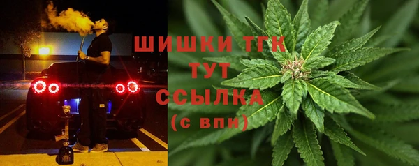 Альфа ПВП Лагань