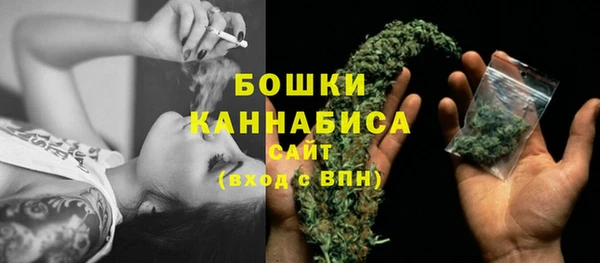 Альфа ПВП Лагань