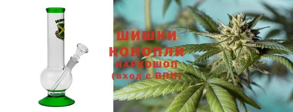 Альфа ПВП Лагань