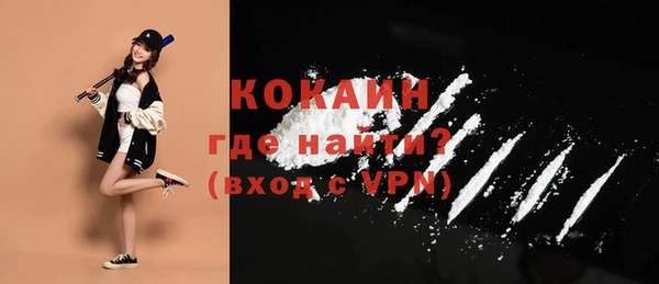 Альфа ПВП Лагань