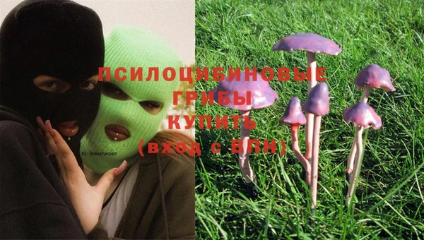 крисы Ладушкин