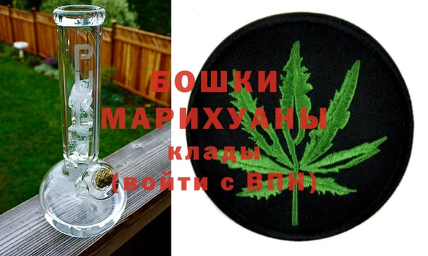 Альфа ПВП Лагань