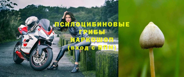 Альфа ПВП Лагань